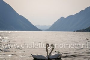 MarleenTammelengPhotography-chalets-lugano-watermerk-114-min